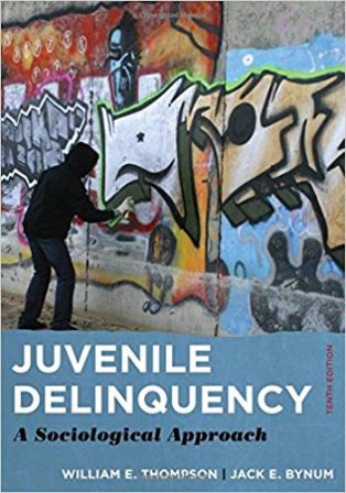 Test Bank for Juvenile Delinquency 10th Edition Thompson