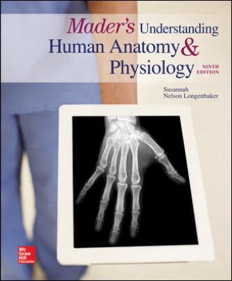Solution Manual for Mader’s Understanding Human Anatomy & Physiology 9th Edition Longenbaker