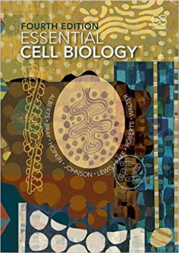 Test Bank for Essential Cell Biology 4th Edition Alberts