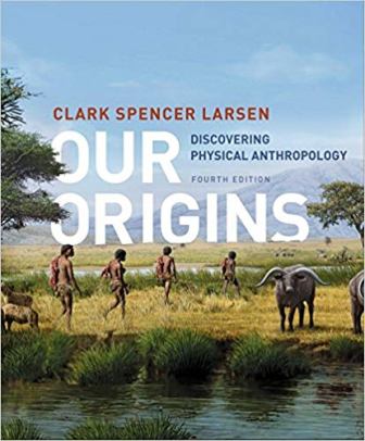 Test Bank for Our Origins: Discovering Physical Anthropology 4th Edition Larsen