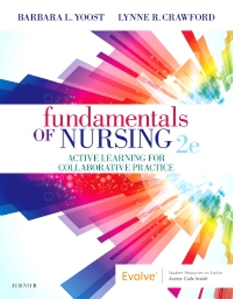 Test Bank for Fundamentals of Nursing 2nd Edition Yoost
