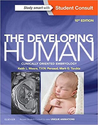 Test Bank for The Developing Human 10th Edition Moore